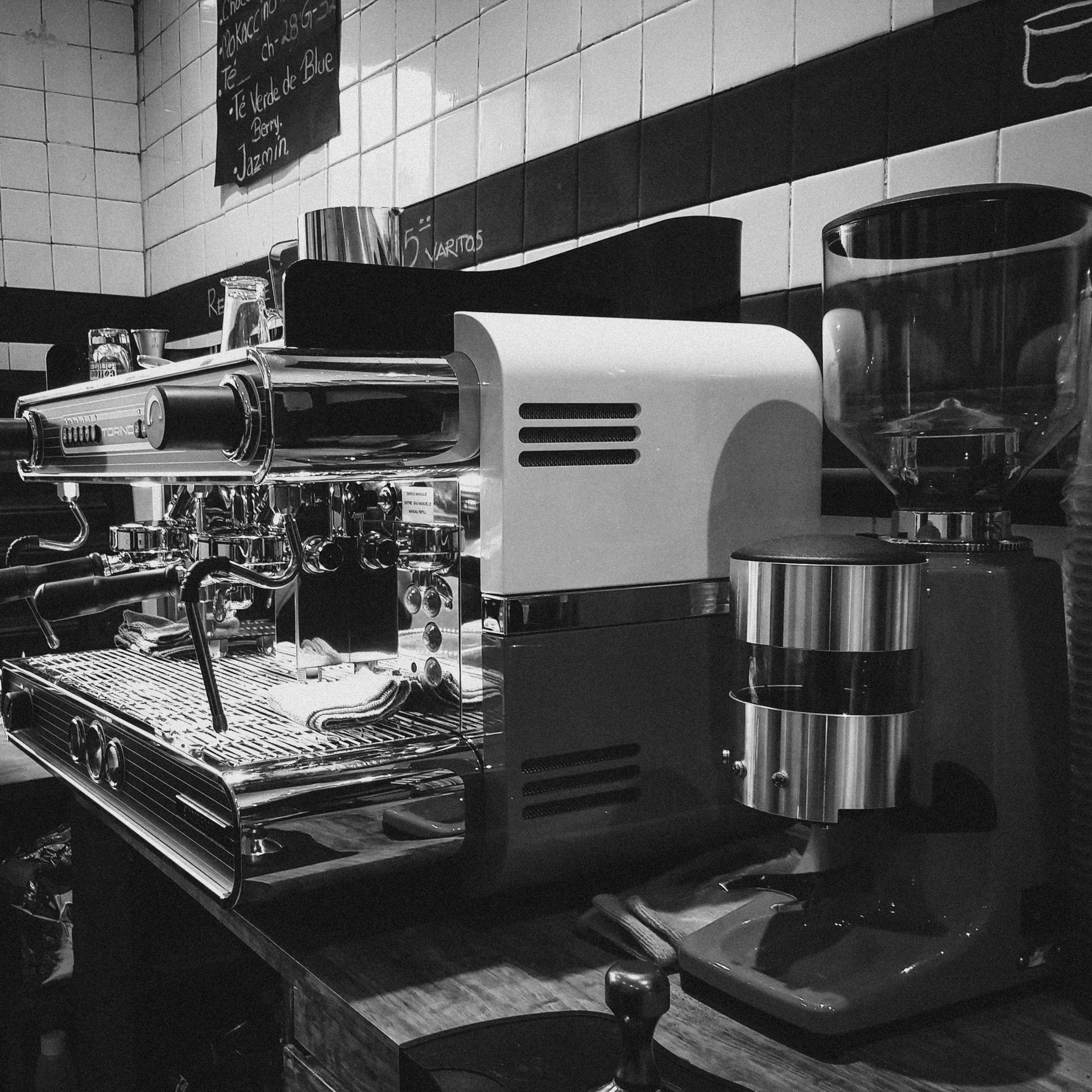 Raíces que nos sostienen